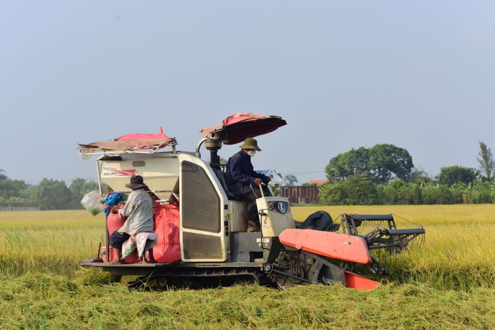China’s Expanding Appetite Signals Opportunity for Thailand’s Farmers