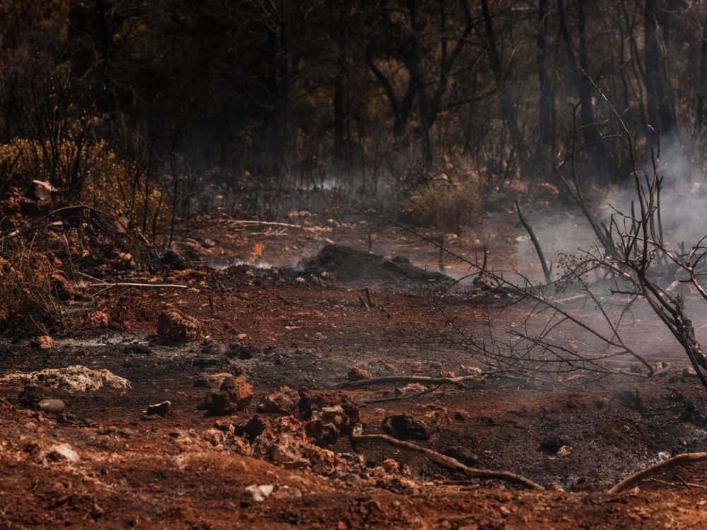 Forest Fire Haze Grounds Flights Across Kalimantan, Indonesia