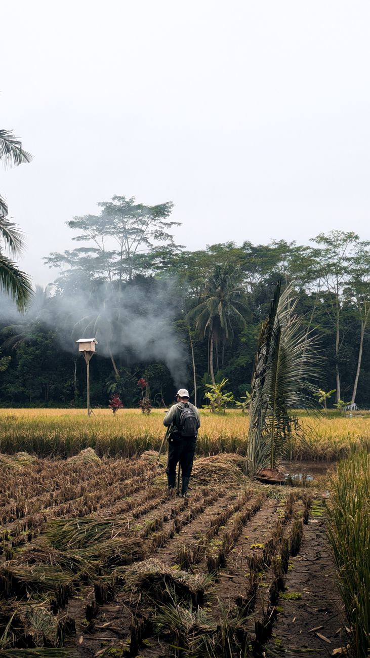 Can Indonesia’s Palm Oil Waste Help Shape the Global Future of Energy