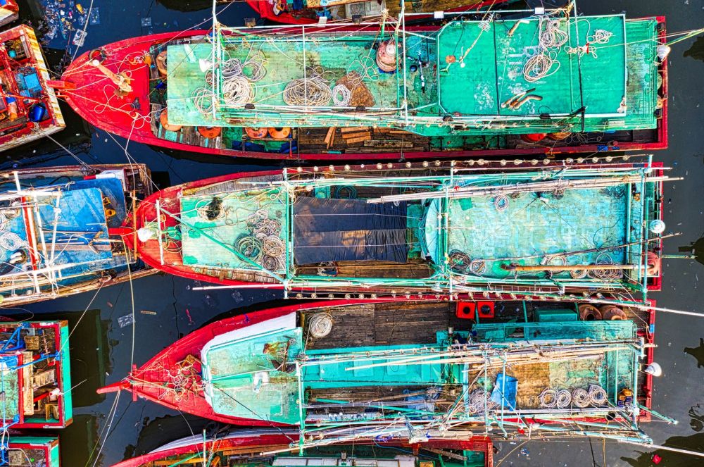 Thailand’s Export Reinvention Amid China’s Changing Import Demands